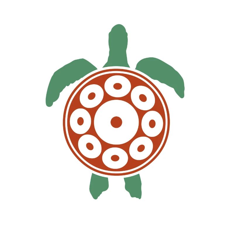 Jouer Handpan Turtle Handpan