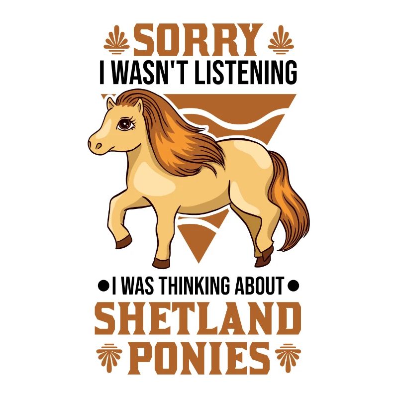 Shetland Pony Shetland-Pony Shetty