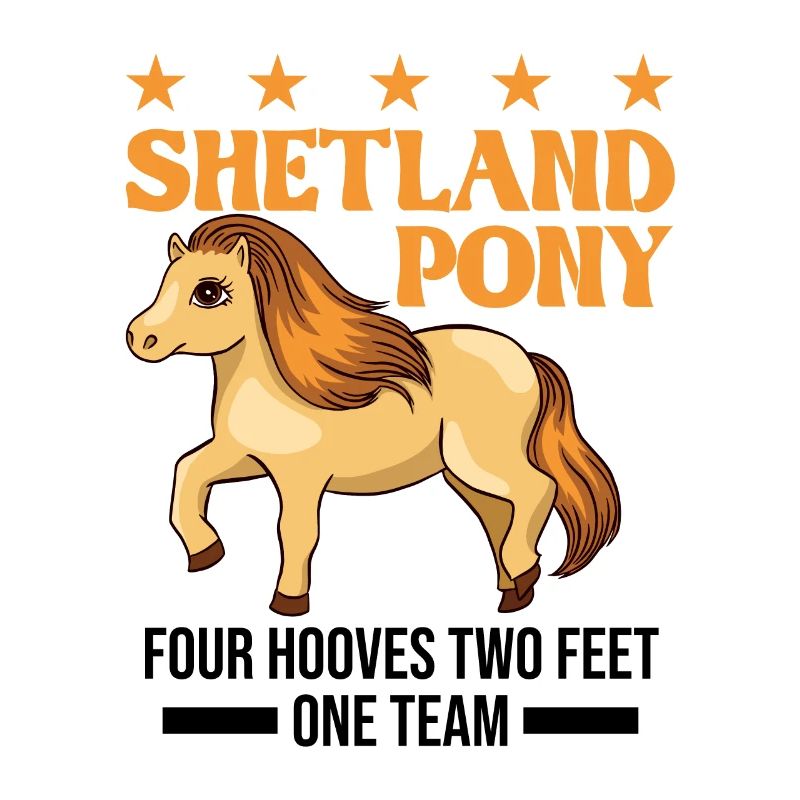 Shetland Pony 4 sabots 2 pattes Une équipe