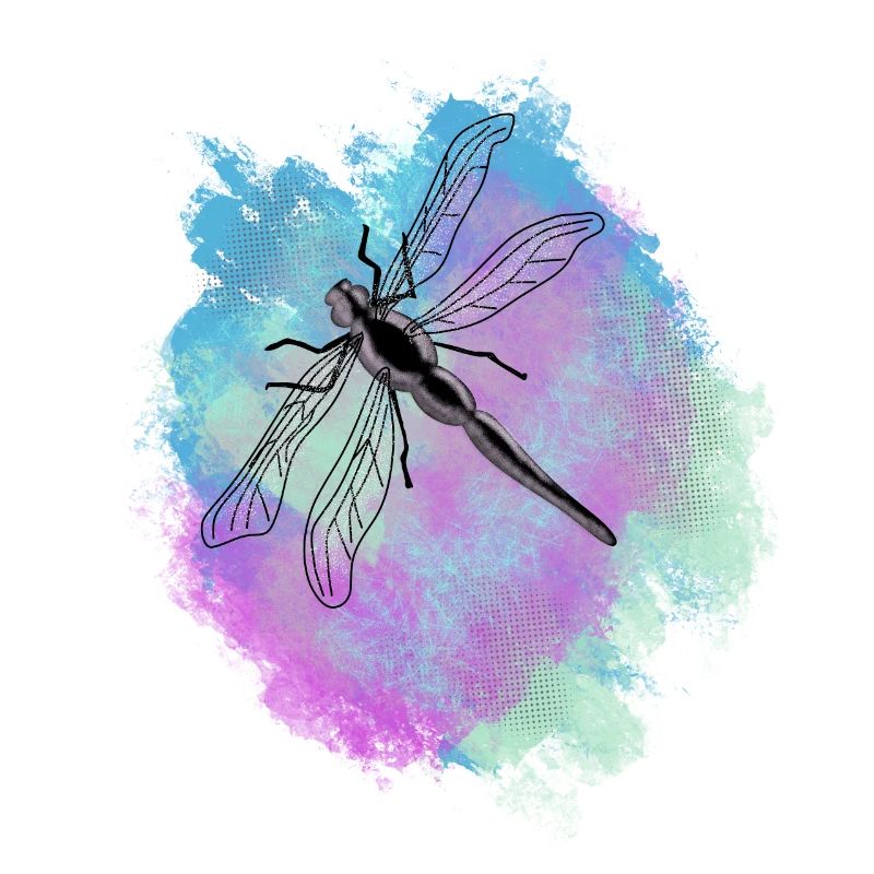 Libellule - coloré - aquarelle - hippie