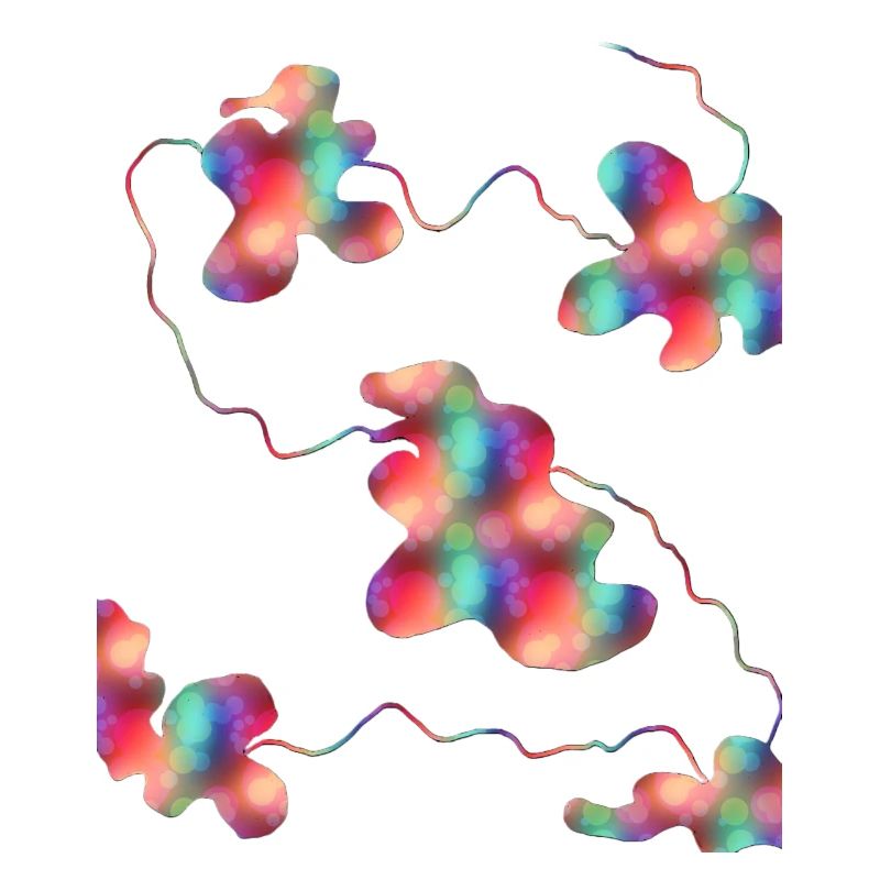 Imaginer