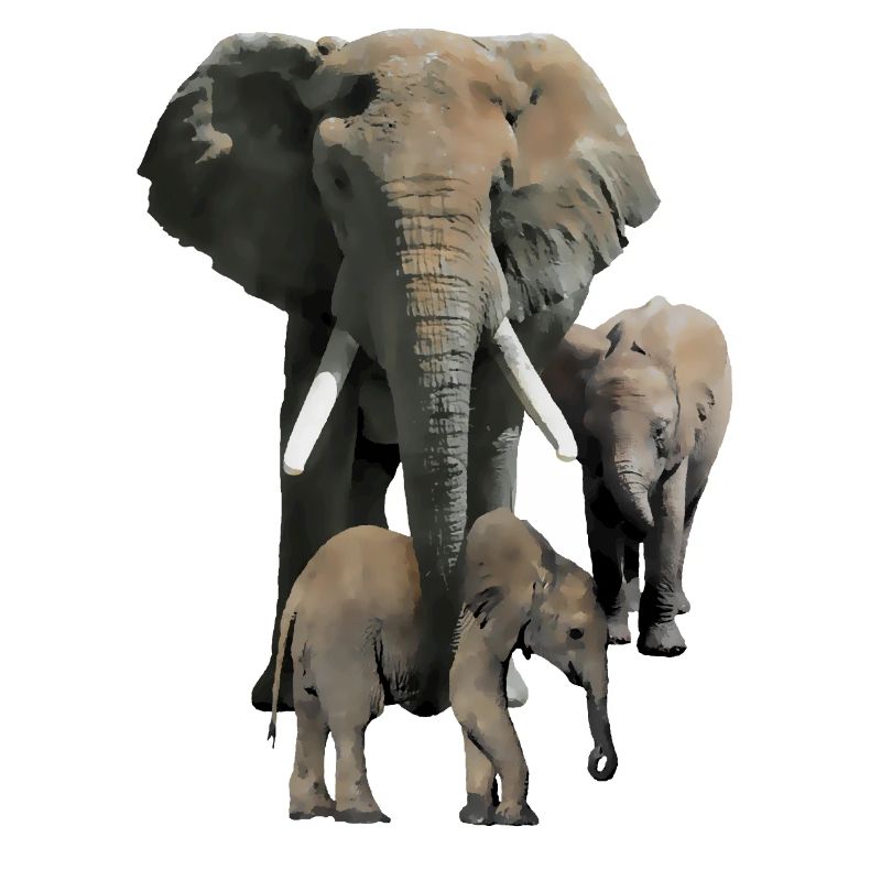 Maman éléphant avec des bébés comme dessin