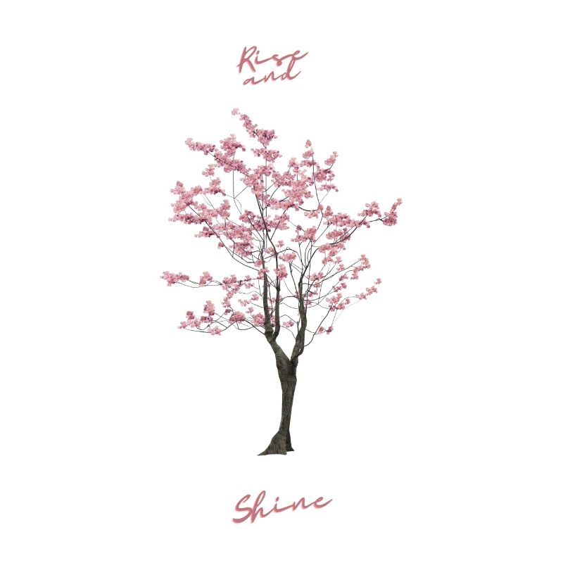 SAKURA TREE. Grow up and flourish.