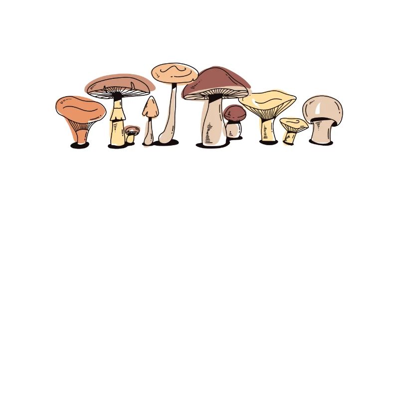 Foraging Identification Picking Hunter Mushroom