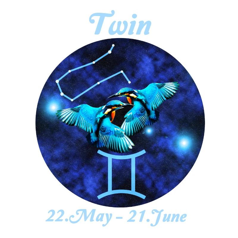 Sternzeichen Zwilling, Eisvogel, Sternbild