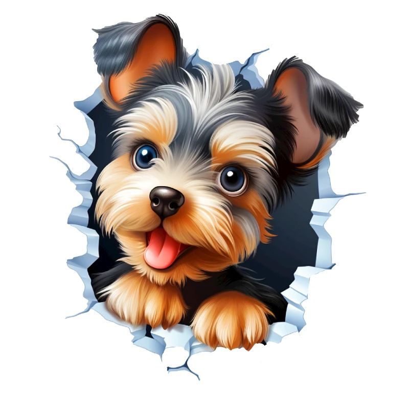 Suesser Yorkshire Terrier