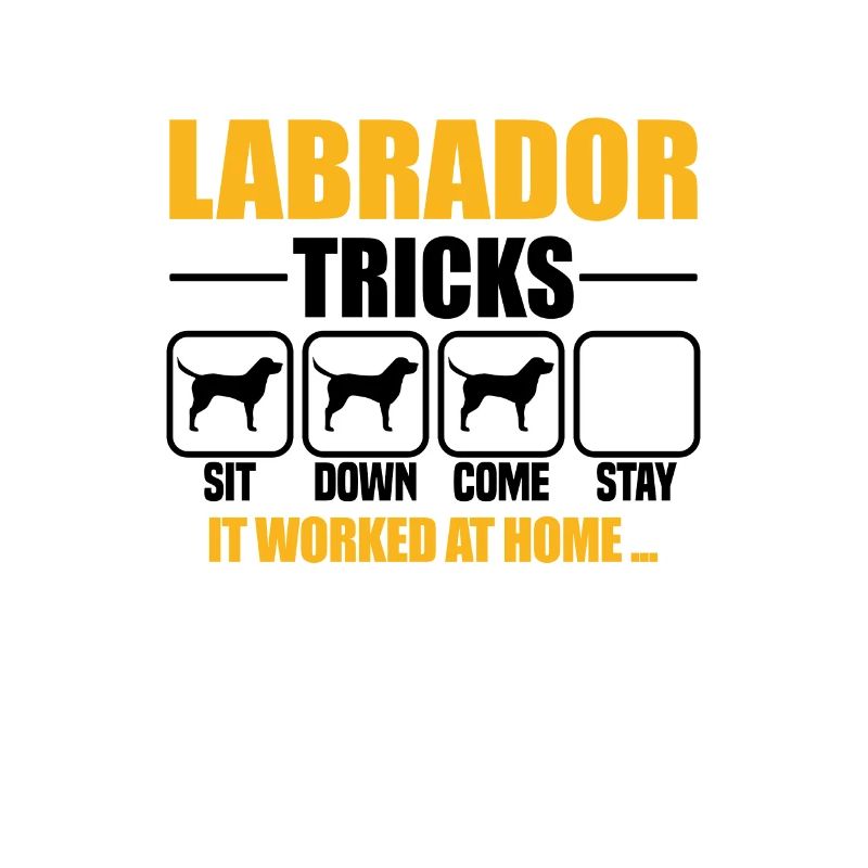 Labrador Tricks