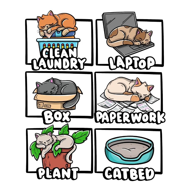 Clean Laundry Box Cat Bed Kitten Lover Sleepy