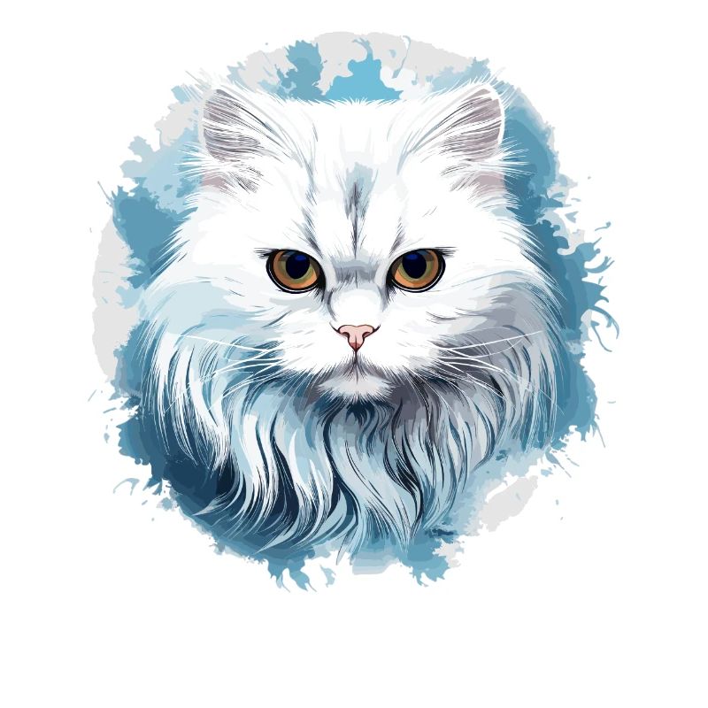 Chat persan Perser Katze
