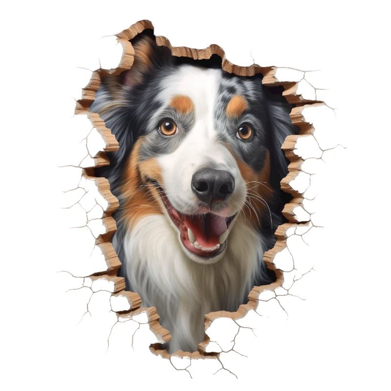 Australian Shepherd Owner - Perfect Aussie