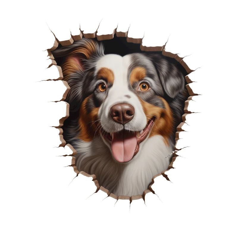 Australian Shepherd Owner - Perfect Aussie