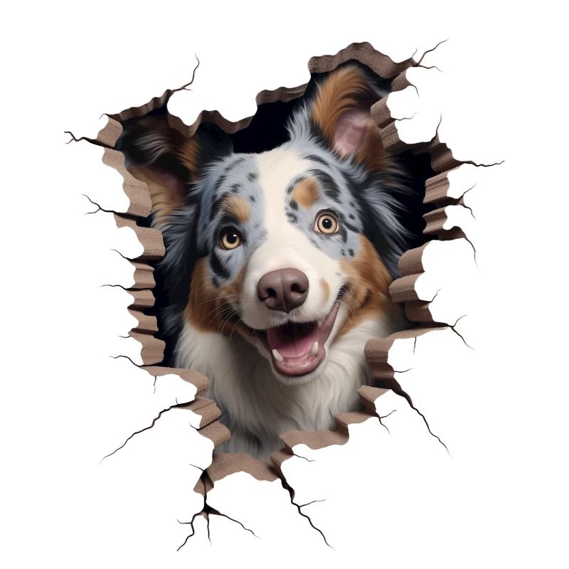 Australian Shepherd Owner - Perfect Aussie