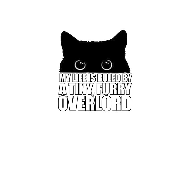 Cat misanthrope Grumpy misanthrope cats