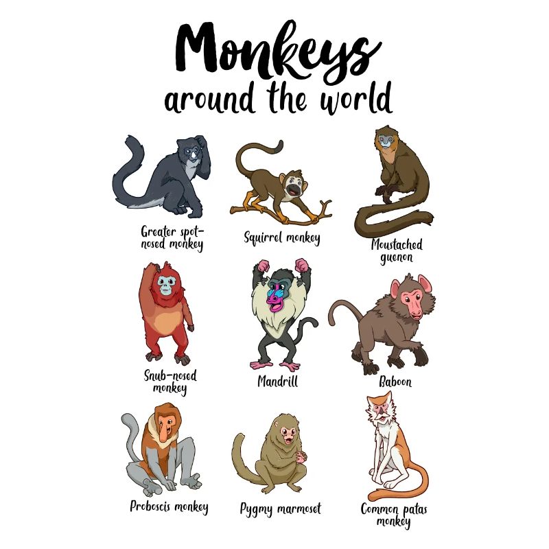 Singes du monde - Singes