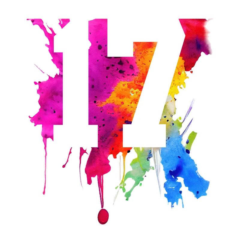 17 ANS 17E ANNIVERSAIRE