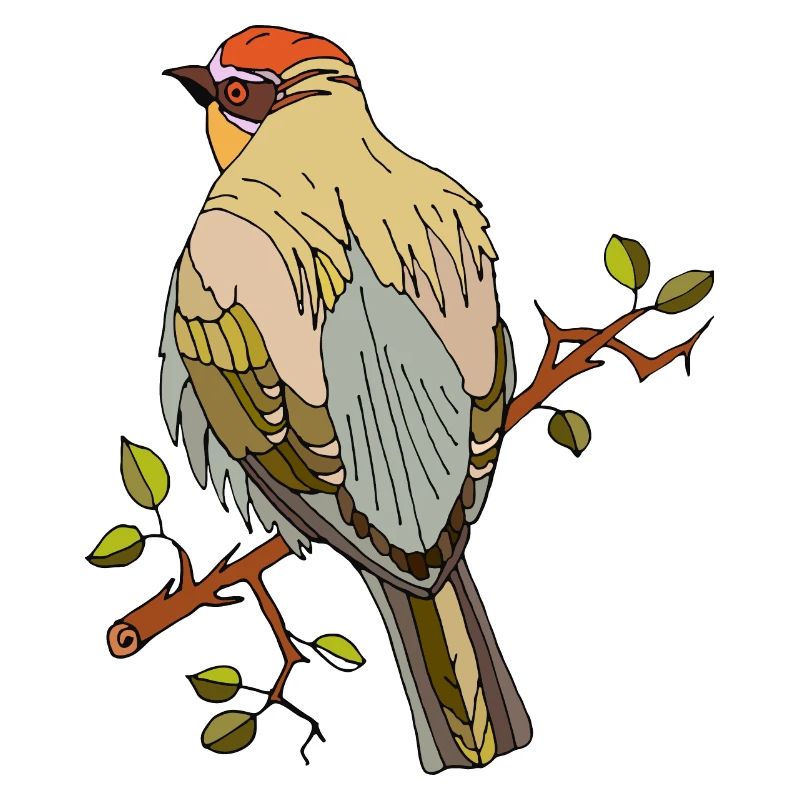 Bunter Vogel