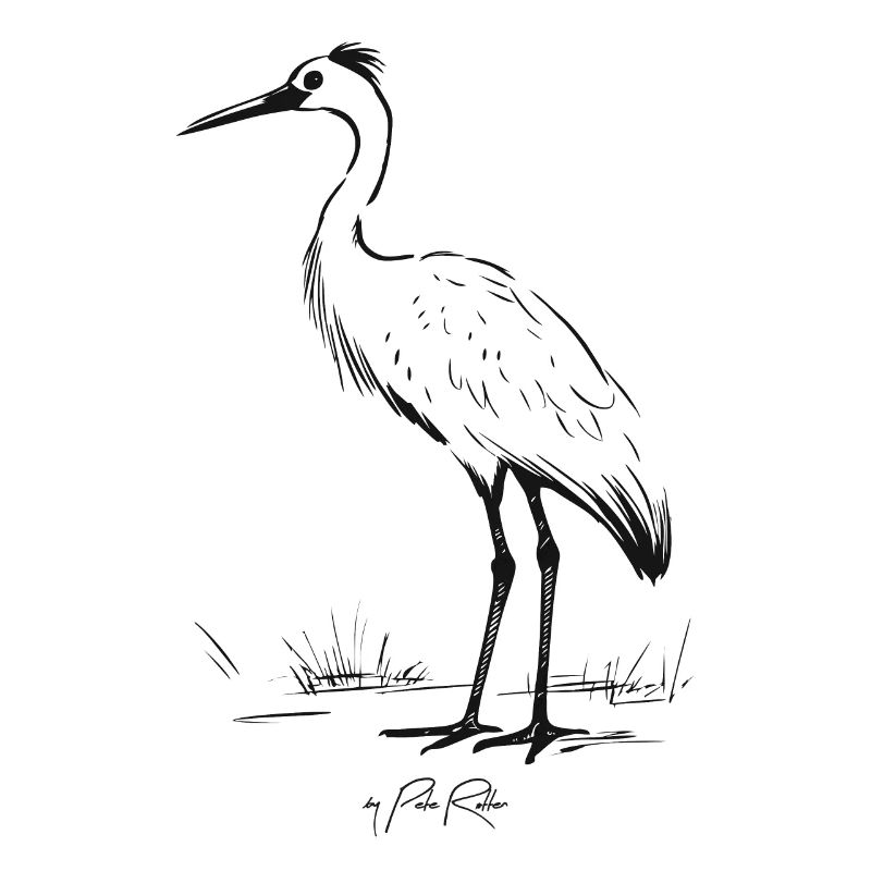 Grand oiseau sur échasses comme une grue