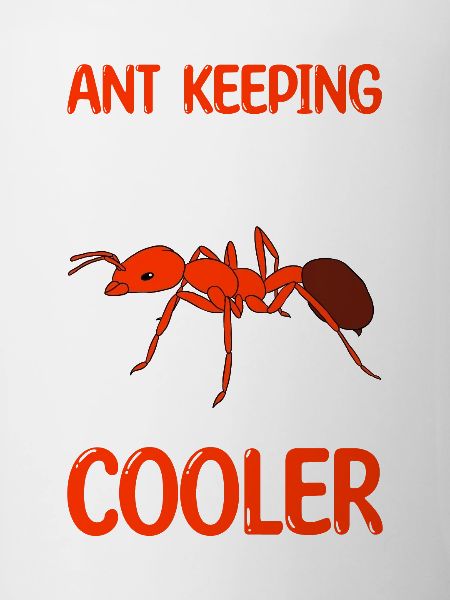 Antkeeping Ant Breeding Ants