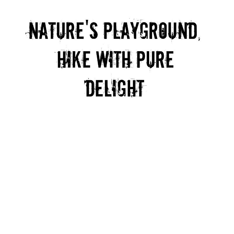 Randonnée - Terrain de jeu de la nature, randonnée avec des