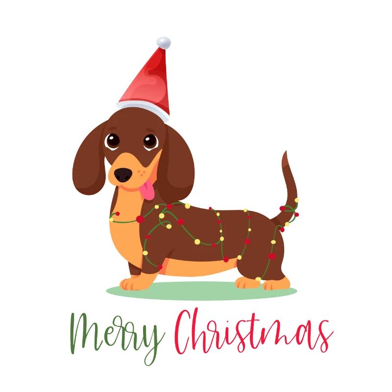 Teckel, Teckel, Noël, Noël