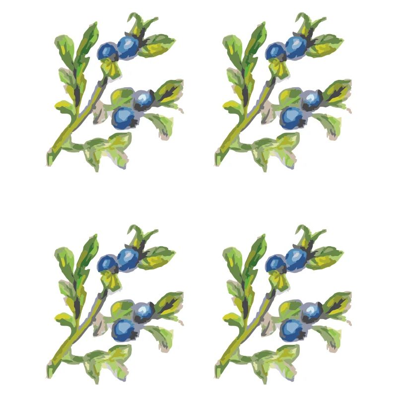 Myrtille 4 plis