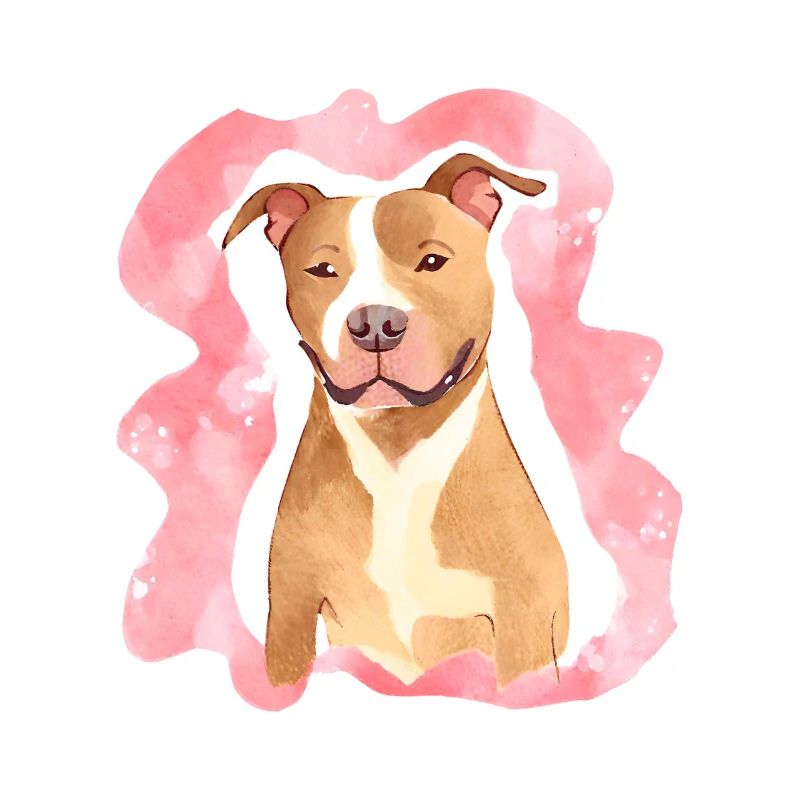 Aquarelle de Pitbull