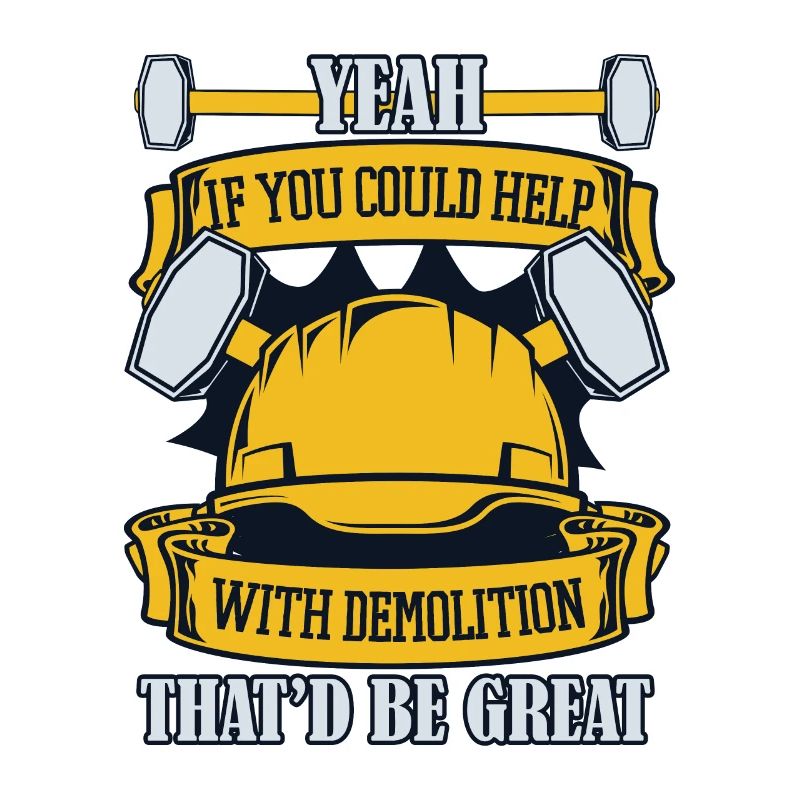 If You Could Help With Demolition Experts House