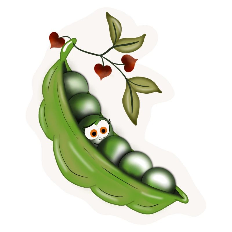 Erbsen