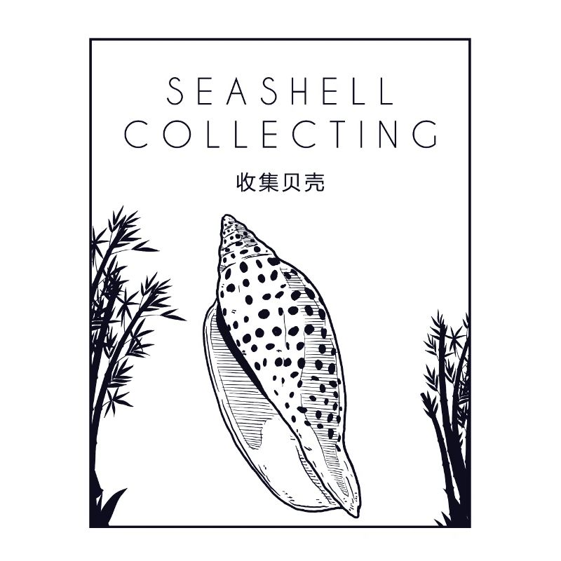 Seashell Collecting Chinese Hanzi Shell Seashell
