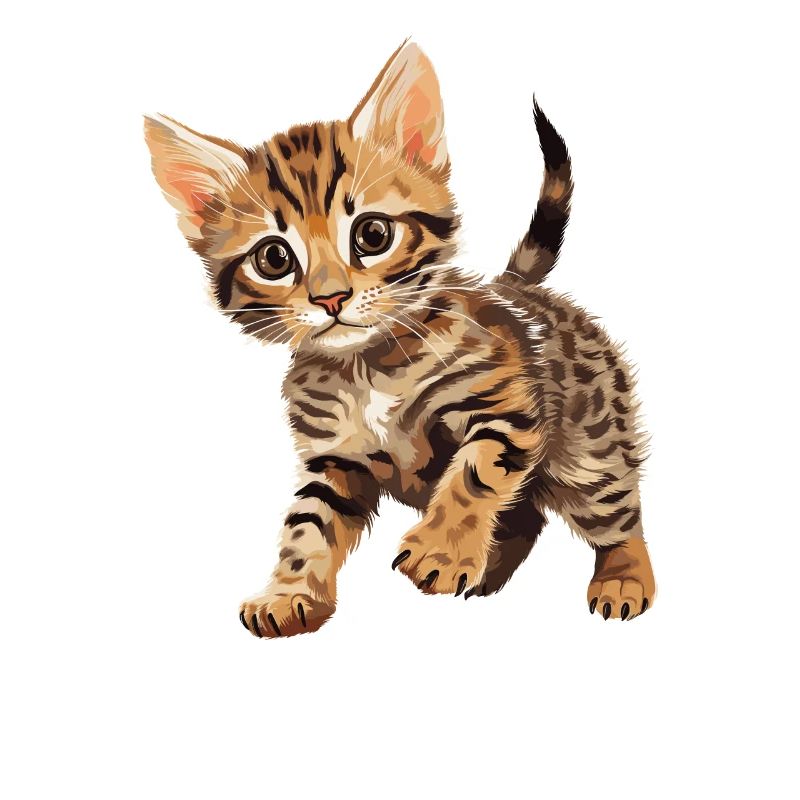 Chat du Bengale Bengalkatze
