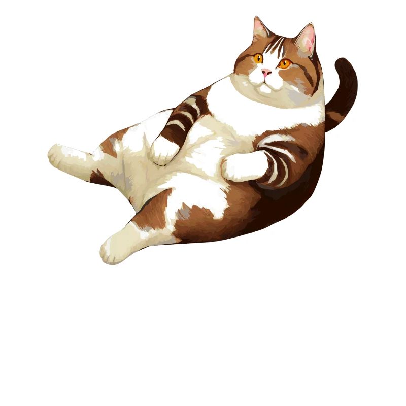 CAT FAT LYING