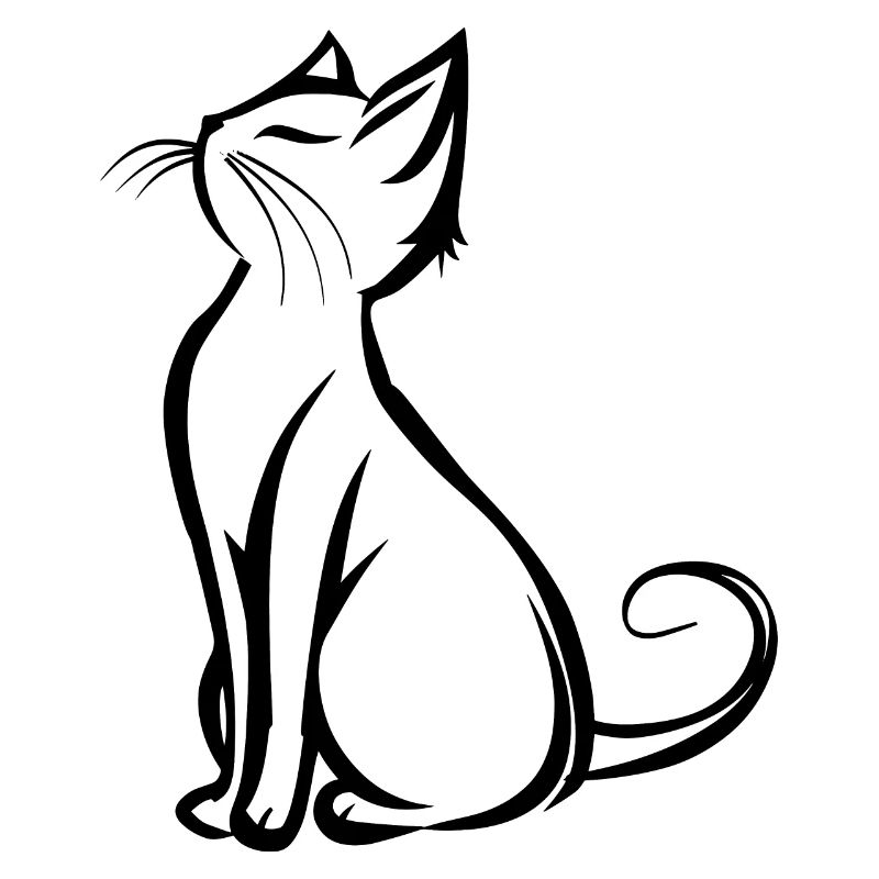 Chat, Motif De Chat, Visage De Chat