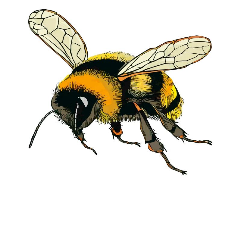BUMBLEBEES