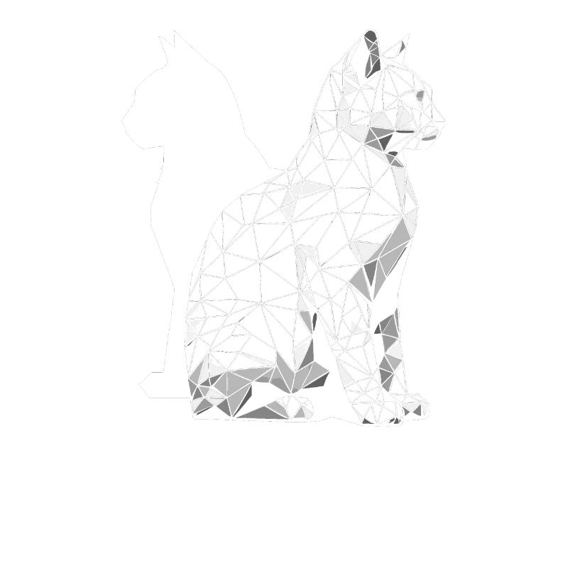 Chat Gémeaux