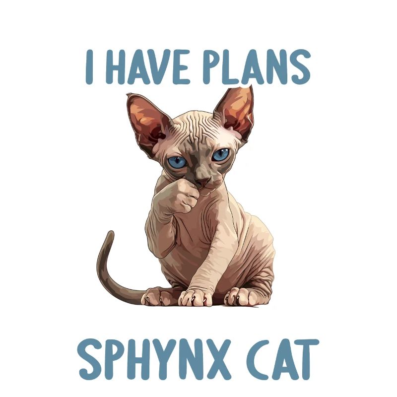 Chaton Sphynx Chat Sphynx
