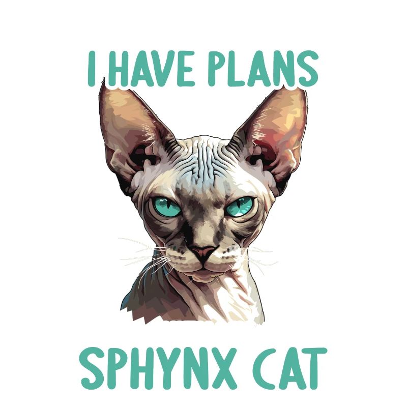 Sphynx Kitten Sphynx Cat