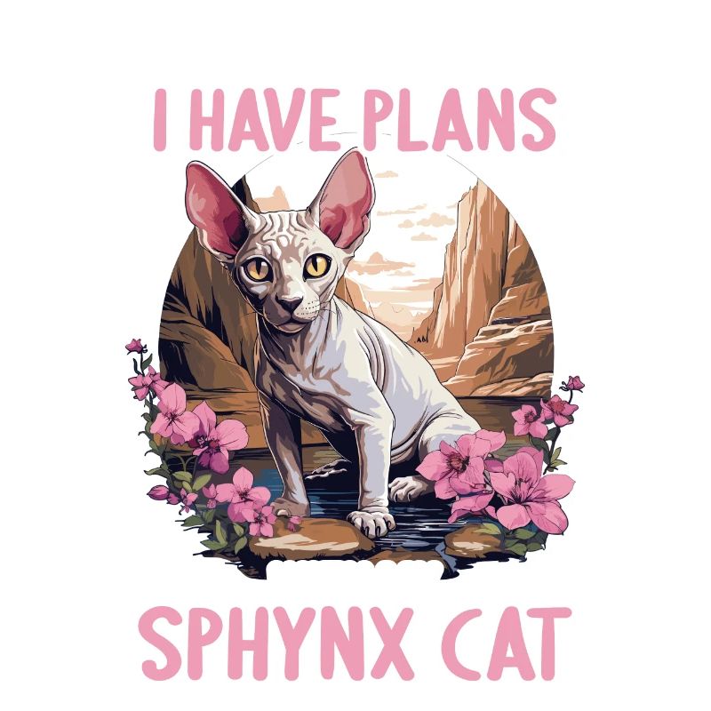 Sphynx Kätzchen Sphynx Katze