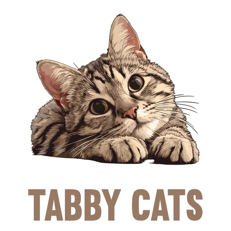 Tabby Kitten Tabby Cat