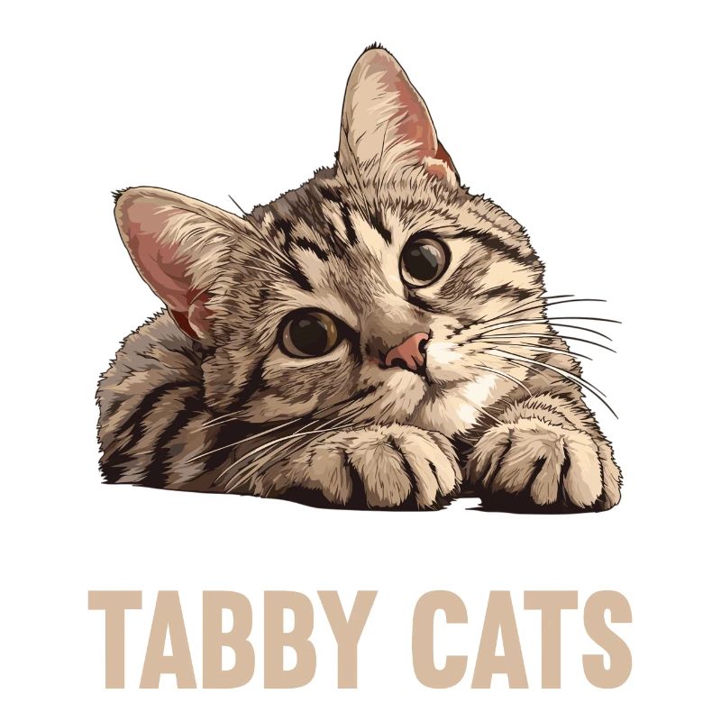 Tabby Kätzchen Tabby Katze
