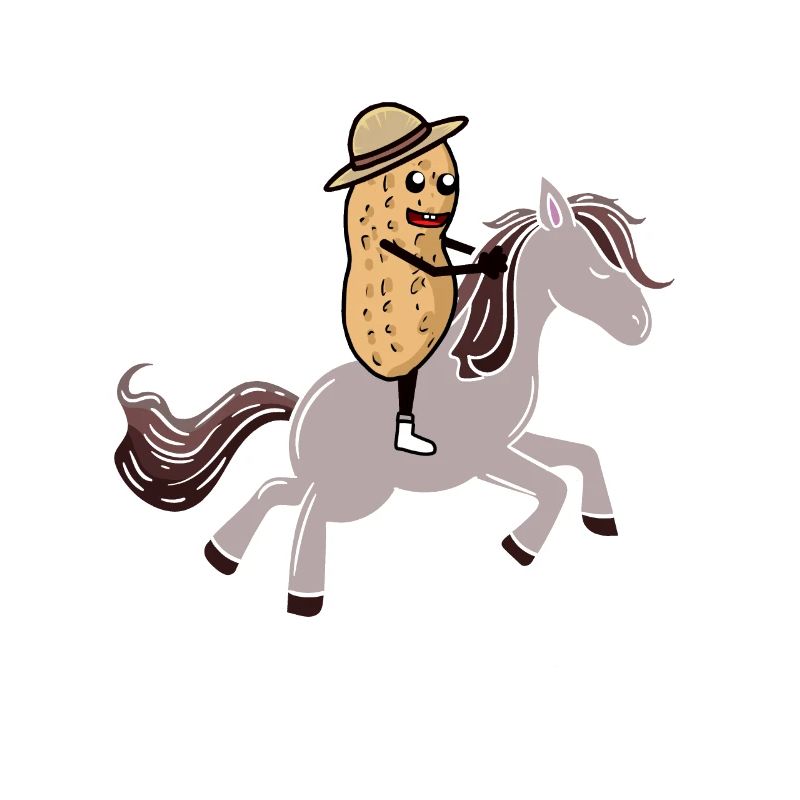 Cacahuète chevaux cavalier cavalier écrou