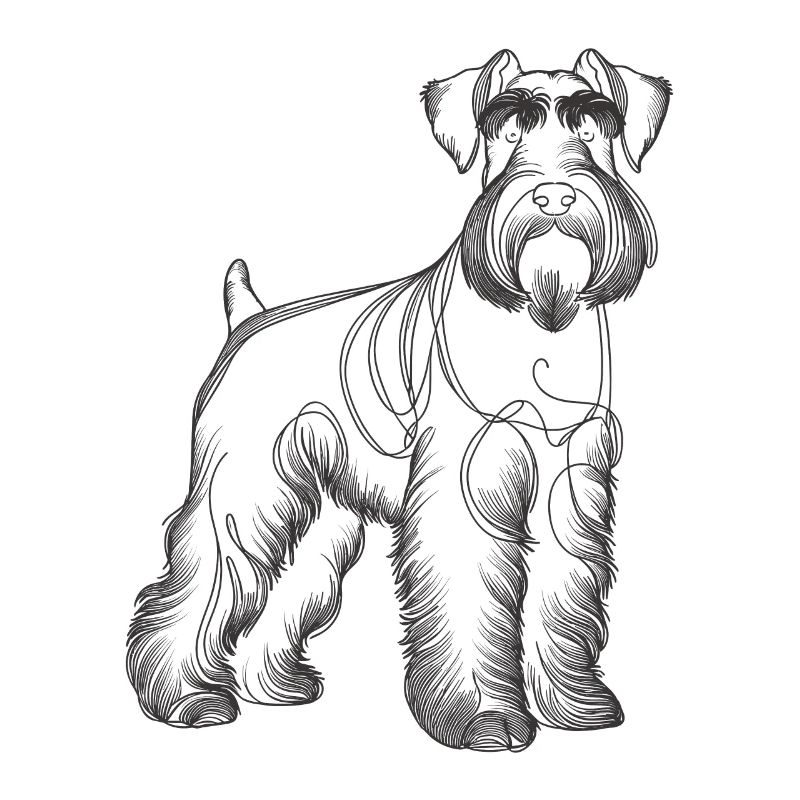 Dessin au trait Schnauzer géant Schnauzers