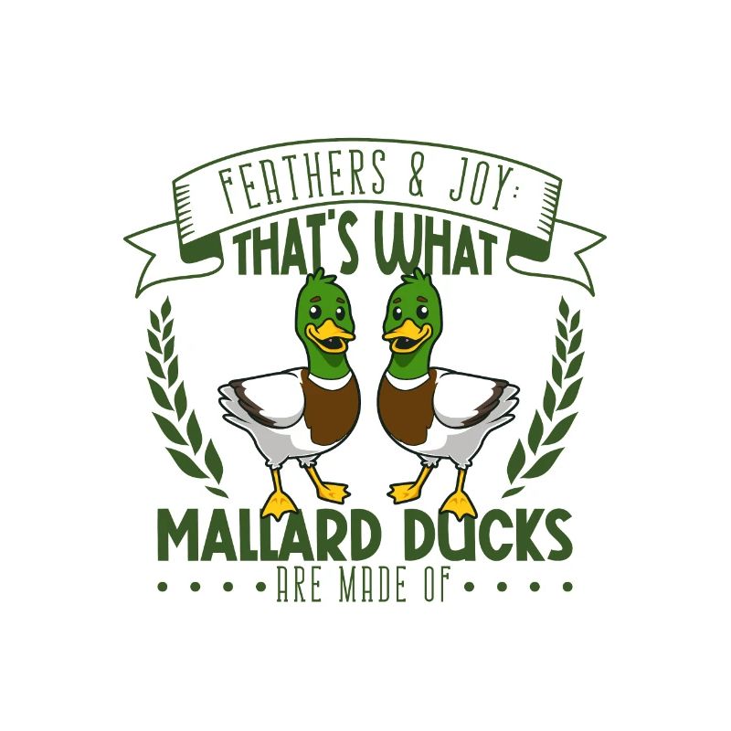 Feathers and Joy - Mallard