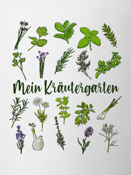 My Herb Garden - Herbs
