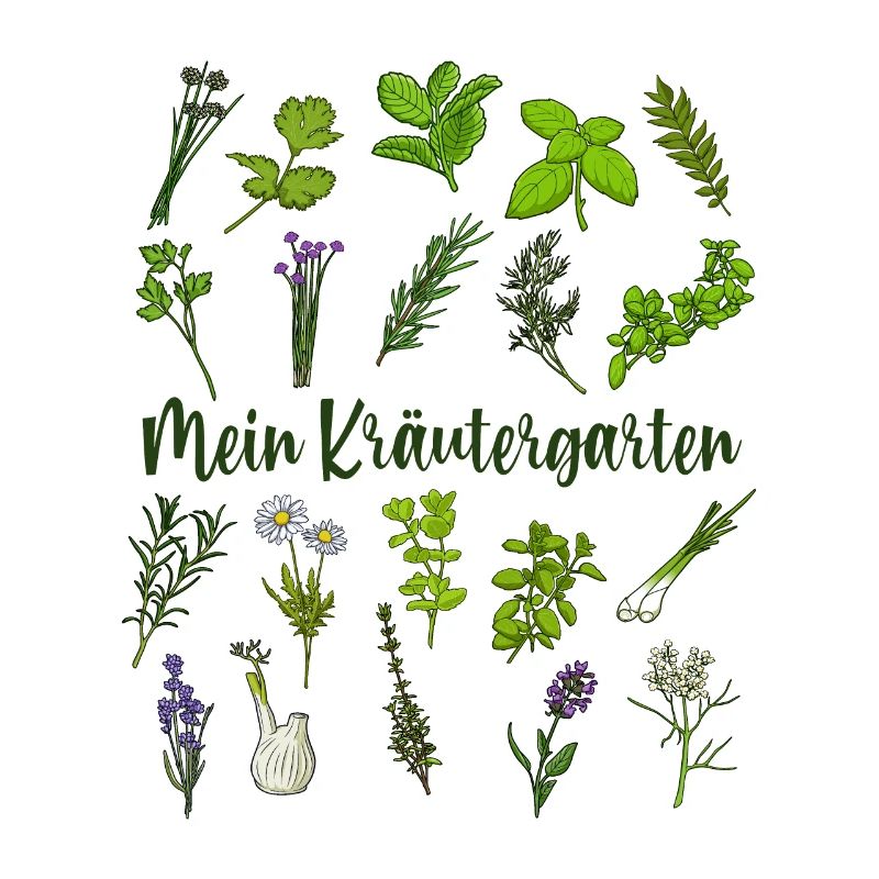 My Herb Garden - Herbs