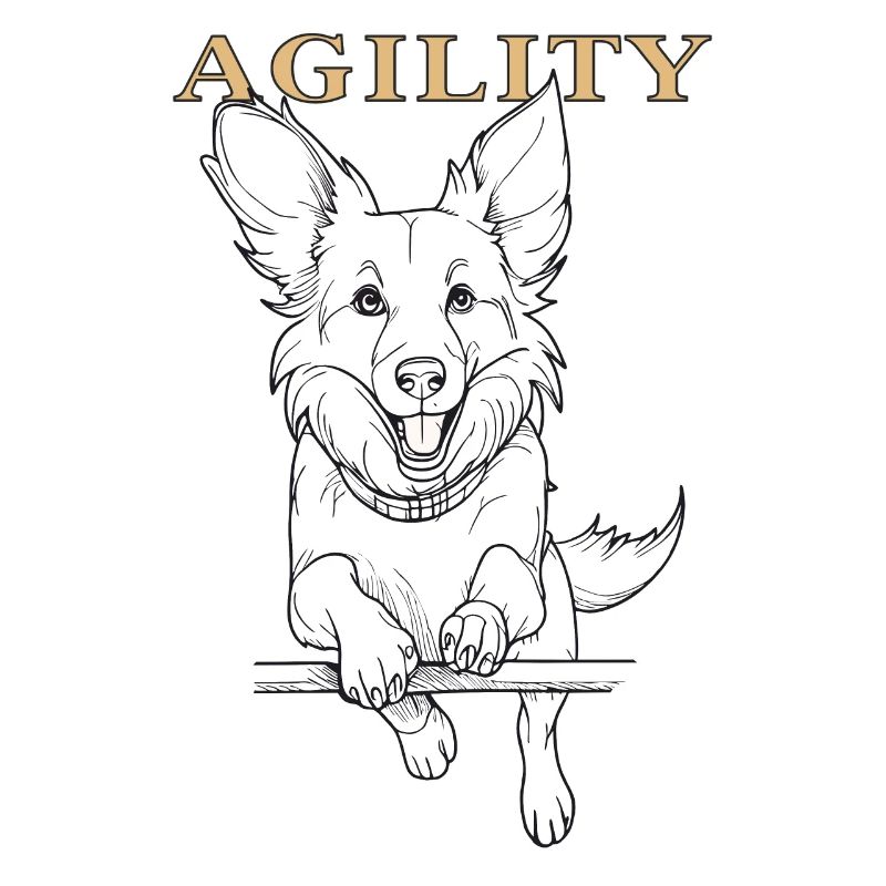 AGILITÉ DU CHIEN