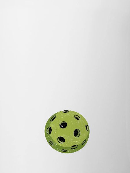 I'd Dink That Pickleball