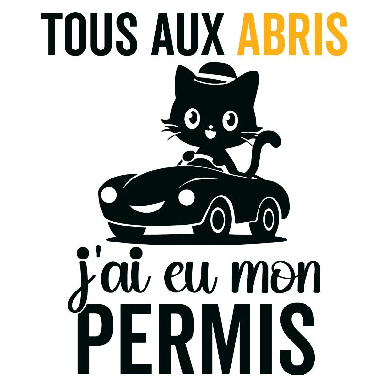 J'ai eu mon Permis félicitations à moi même