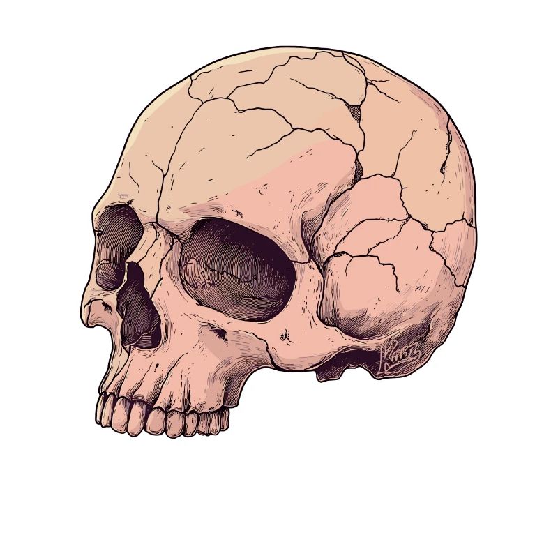 Pink Pink Skull