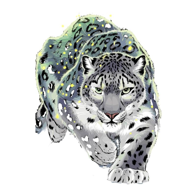 Schneeleopard Leopard Raubkatze