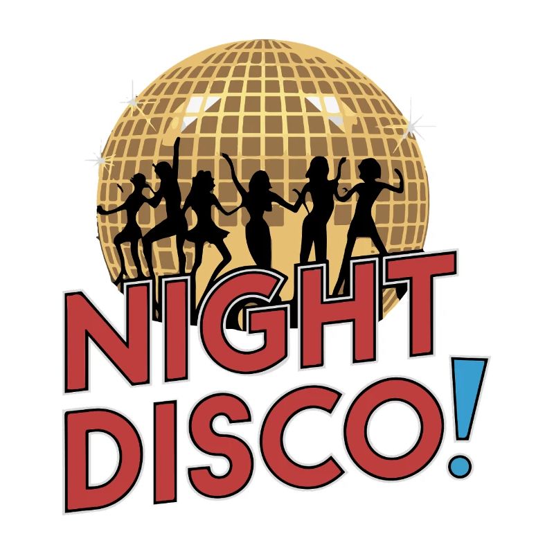 NIGHT DISCO